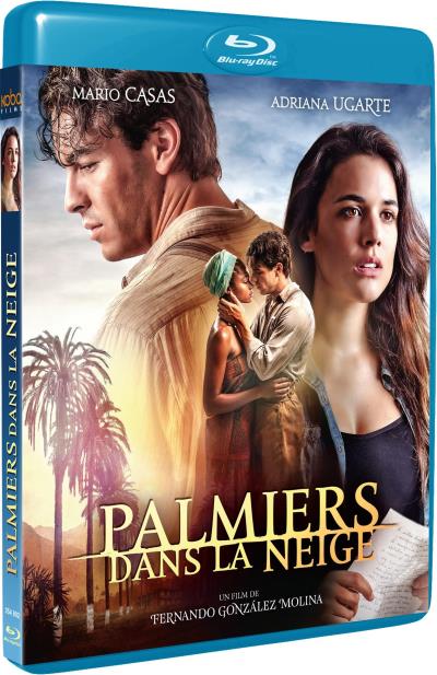 Palmiers dans la neige