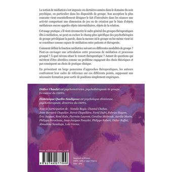 Le groupe : une médiation ?