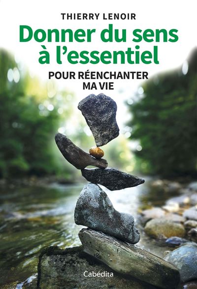 Donner du sens à l'essentiel - Thierry Lenoir - broché