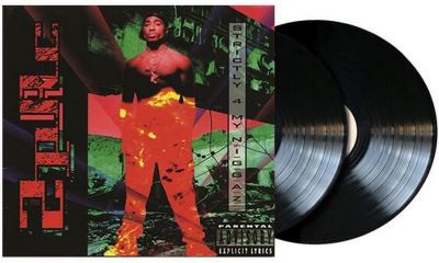 Strictly 4 my niggaz/gatefold