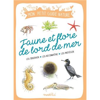 Faune et flore de bord de mer