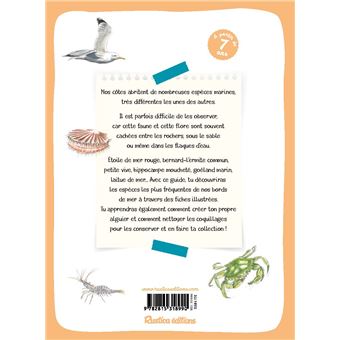 Faune et flore de bord de mer