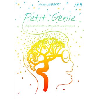 Petit génie n°3 - ebook (ePub) - Nicolas Audibert - Achat ebook
