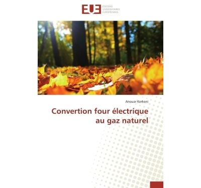 Convertion four électrique au gaz naturel