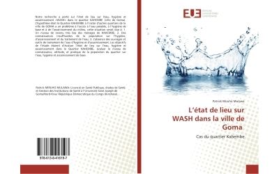 L'etat de lieu sur wash dans la ville de goma - cas du quart