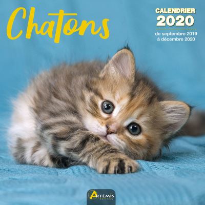 Calendrier Chatons (2020)