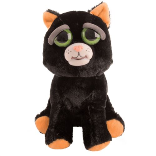 Feisty pets black cat