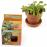 Pot avec coupelle Plante carnivore Radis et Capucine 8 cm