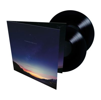 Singularity Double Vinyle 180 gr Gatefold Inclus coupon MP3