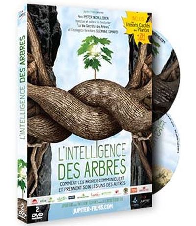 L'Intelligence des arbres DVD - 1