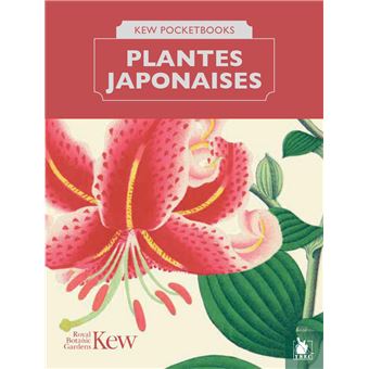 Les plantes japonaises