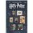 Harry PotterLa carte du Maraudeur_2