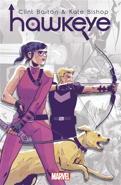 Marvel-Verse: Hawkeye