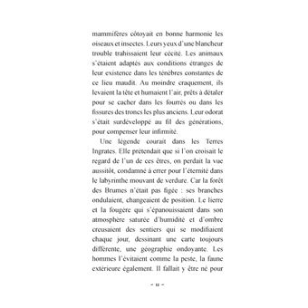 La conspiration des Brumes