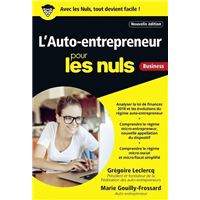 L'Auto-entrepreneur pour les Nuls Business, Nouvelle édition