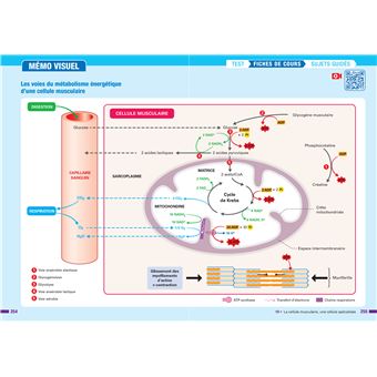 SVT Tle générale (spécialité) - Prépabac Réussir l'examen - Bac 2024