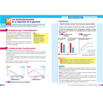 SVT Tle générale (spécialité) - Prépabac Réussir l'examen - Bac 2024