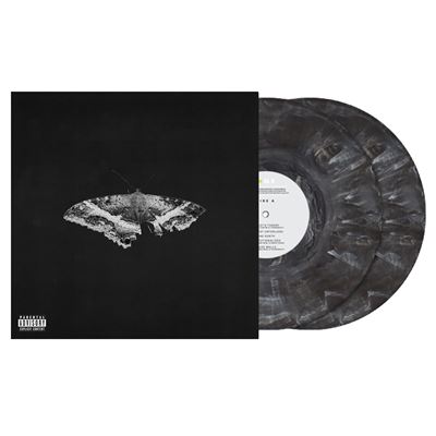 To-Pimp-A-Butterfly-10-Year-