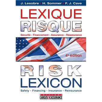 Lexique risque / Risk lexicon - broché - Jacques Lesobre, Henri Henri ...