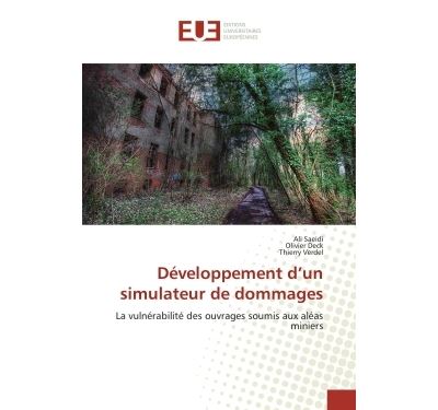 Developpement d''un simulateur de dommages