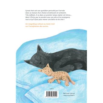 Grand chat, petit chat