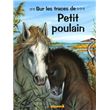 Sur les traces de petit poulain