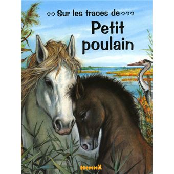 Sur les traces de petit poulain