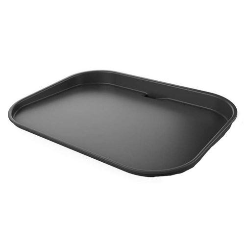 Ninja Woodfire Flat Plancha Plate