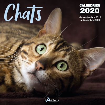 Calendrier Chats (2020)