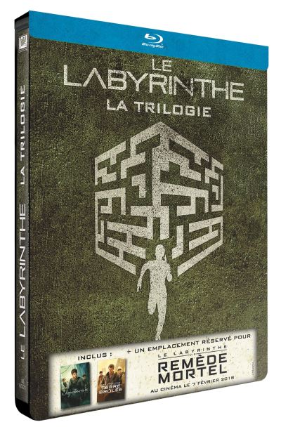 Le-Labyrinthe-Le-Labyrinthe-La-Terre-Bru