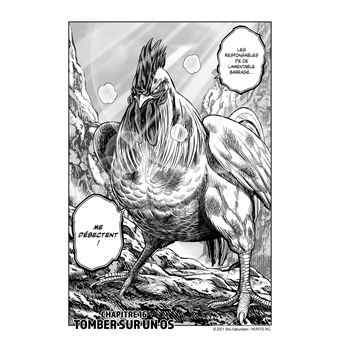 Rooster Fighter - Coq de Baston