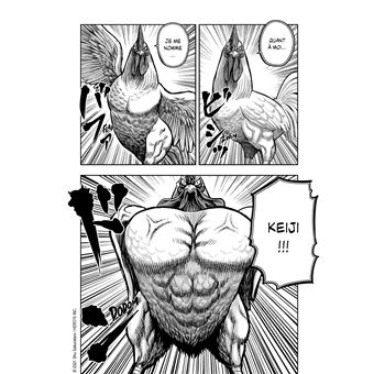 Rooster Fighter - Coq de Baston