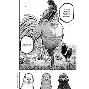 Rooster Fighter - Coq de Baston