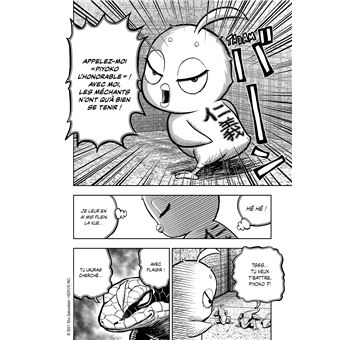 Rooster Fighter - Coq de Baston