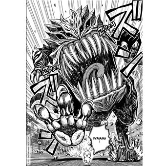 Rooster Fighter - Coq de Baston