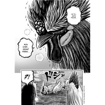 Rooster Fighter - Coq de Baston