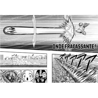 Rooster Fighter - Coq de Baston