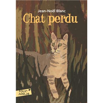 Chat Perdu Poche Jean Noel Blanc Jean Claude Gotting Achat Livre Fnac