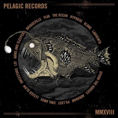Pelagic records/mmxviii