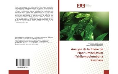 Analyse de la filière de Piper Umbellatum (Tshilombolombo) à Kinshasa