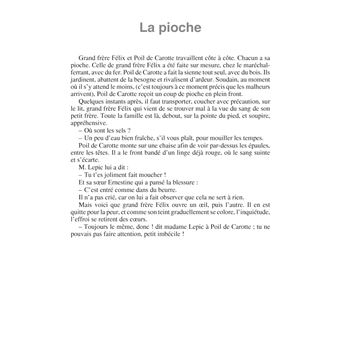 Poil de carotte