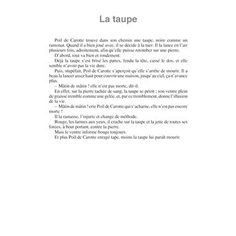 Poil de carotte