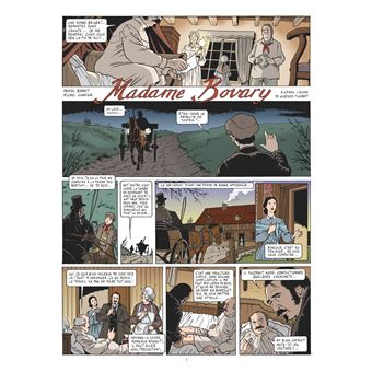 Madame Bovary en BD