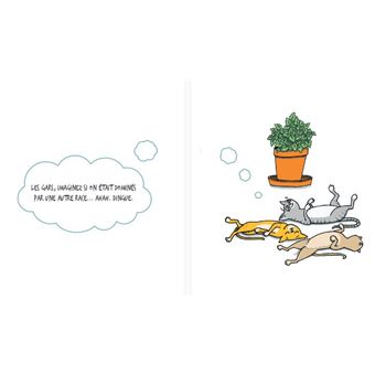 Coffret Chat'touillette