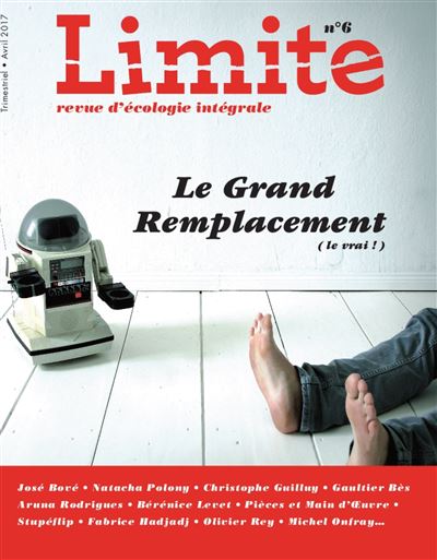Le grand remplacement