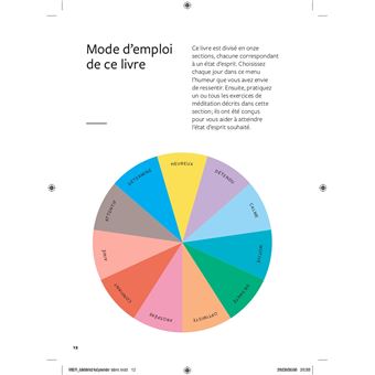 Méditez la joie de vivre ! - Des séances de méditation de 5 à 10 minutes à réaliser selon 13 états d