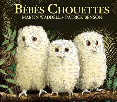 Bebes chouettes (tout carton)