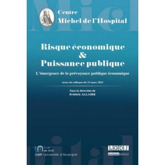 Risque économique et puissance publique