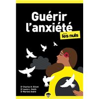 Guérir l'anxiété poche pour les Nuls NE