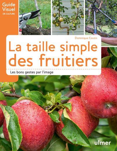 La taille des arbres fruitiers les bons gestes par l'image